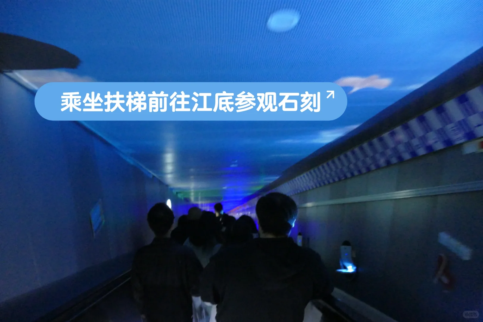 一日速通涪陵白鹤梁+816工程景区