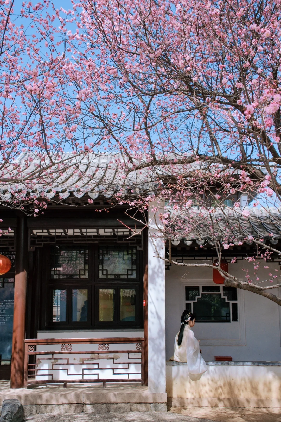 这一刻🌸春和景明具象化了🌷