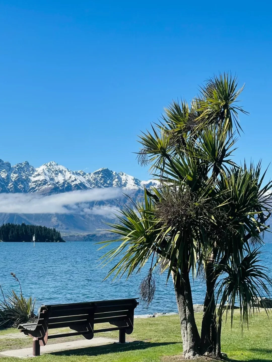 3.19新西兰已回,根本不像xhs说的那样。。