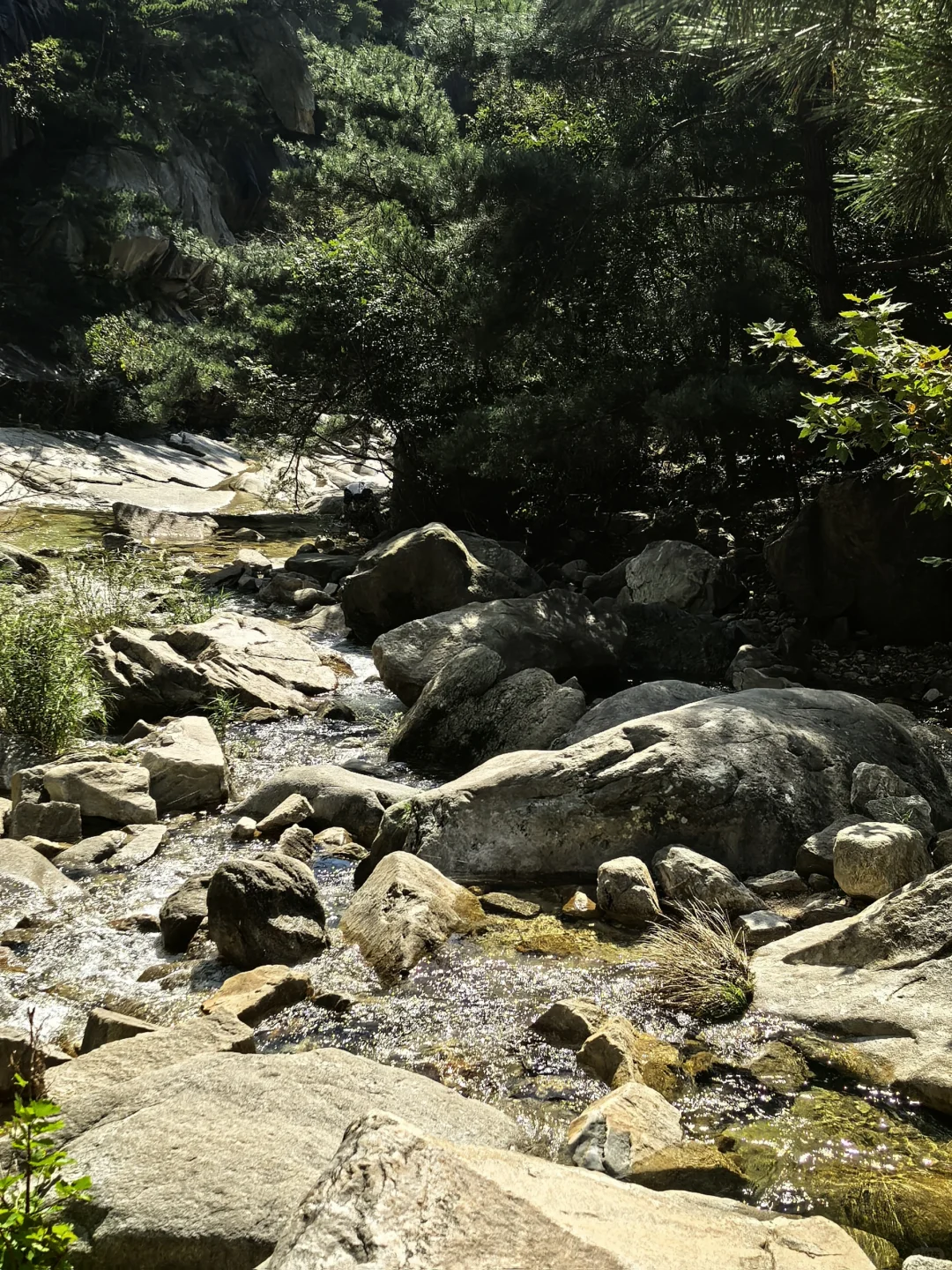 威海旅行别错过这个冷门宝藏！！