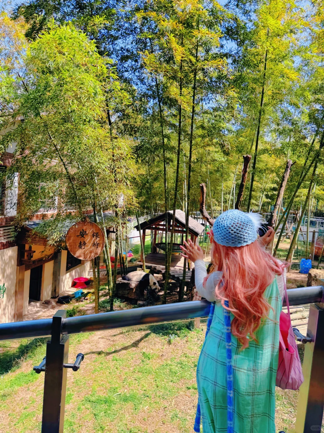 比起婺源😭更爱南京26min直达的宝藏小城！