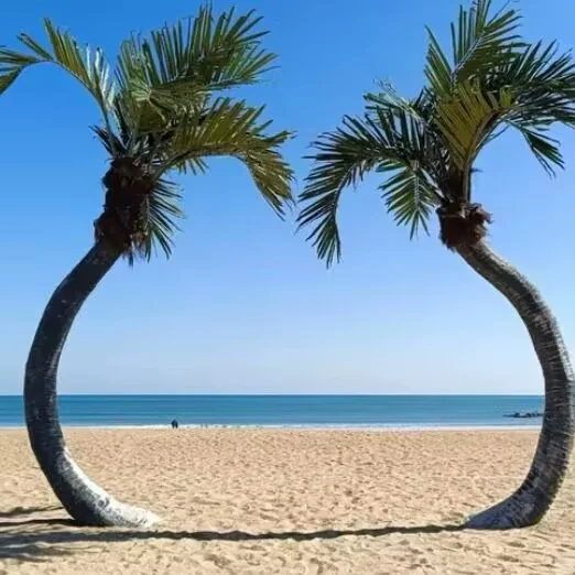 日照 / 精华版旅游攻略 | 日照特产