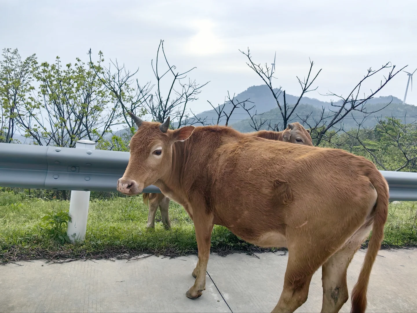 豫南水乡一信阳新县（冷门旅游）