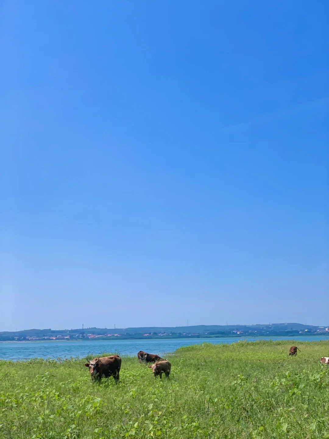 咱邯郸也有海🌊