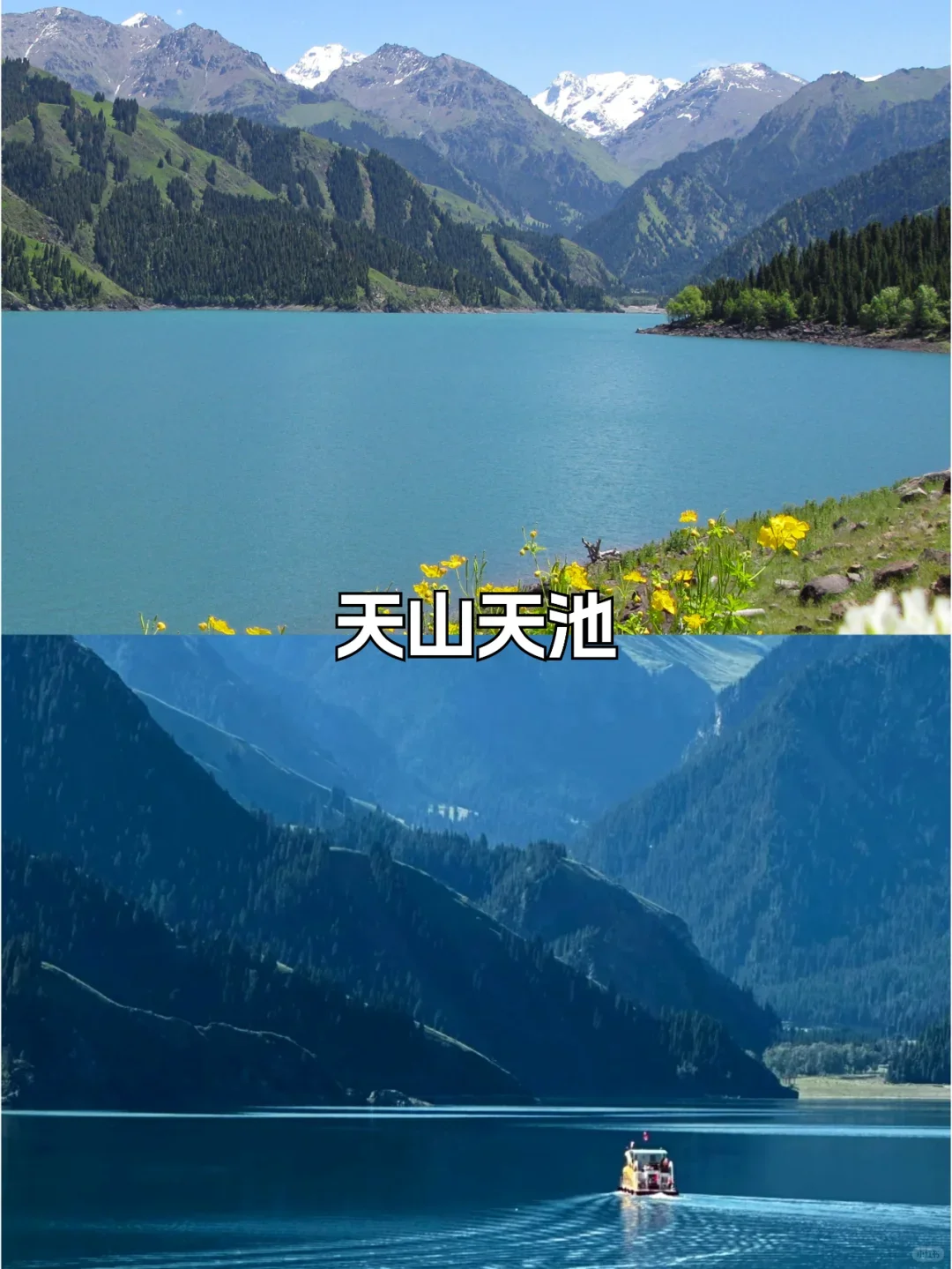 新疆旅游必去16个景点合集🔥超级好看🔥