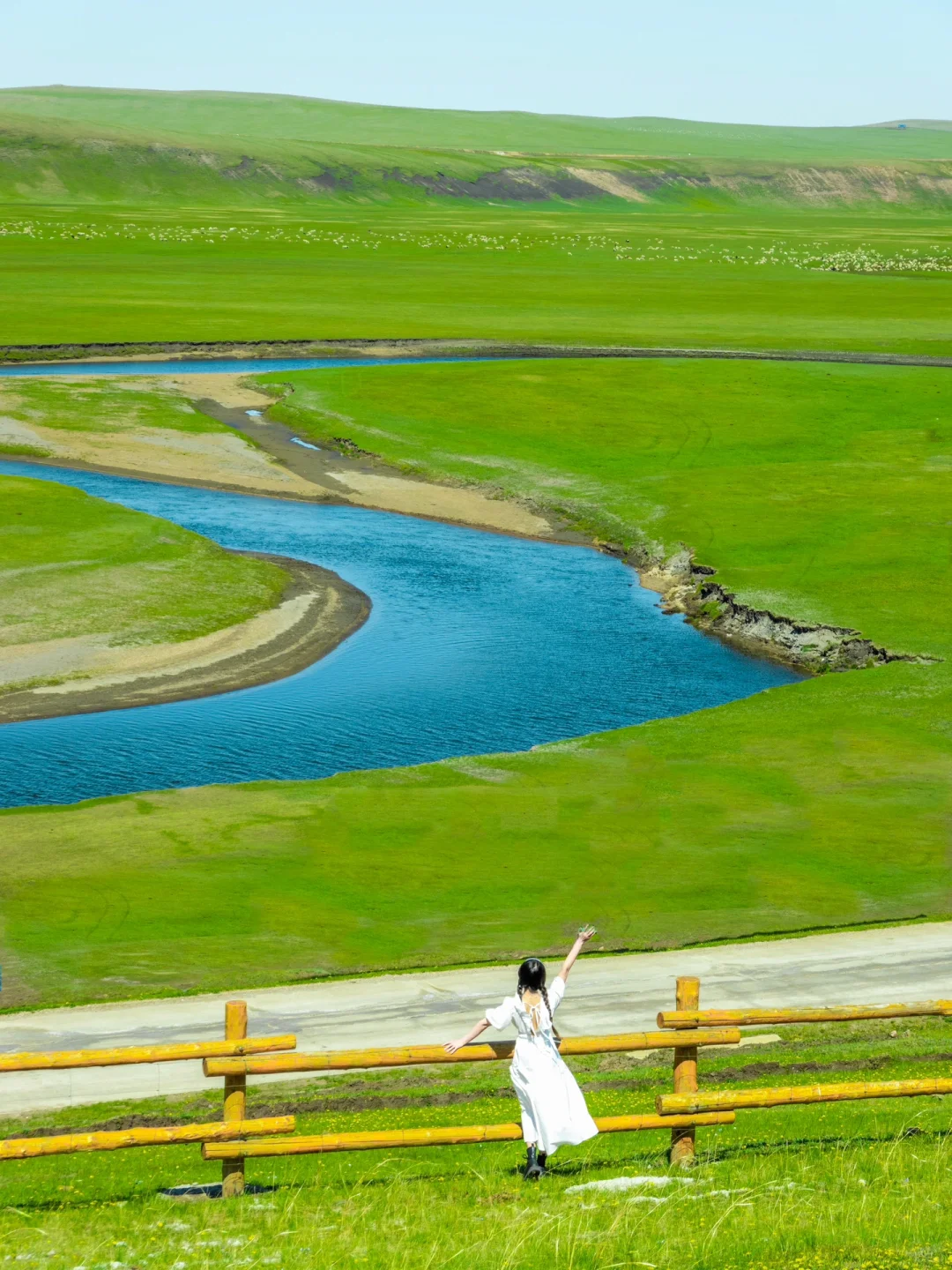 “我这一生,总有一个夏天要留给呼伦贝尔‼️”