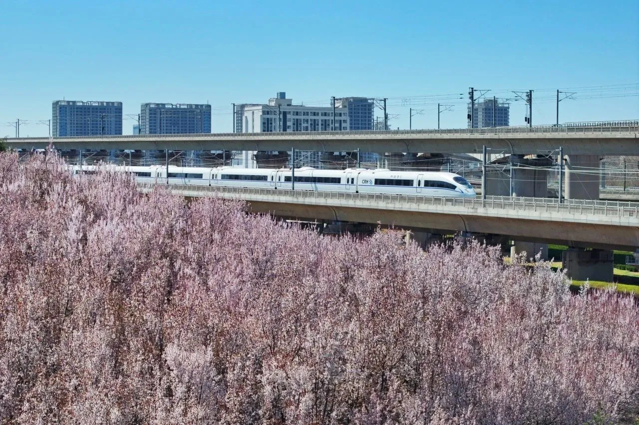 云台山免门票啦！两天一日高铁直达超方便！