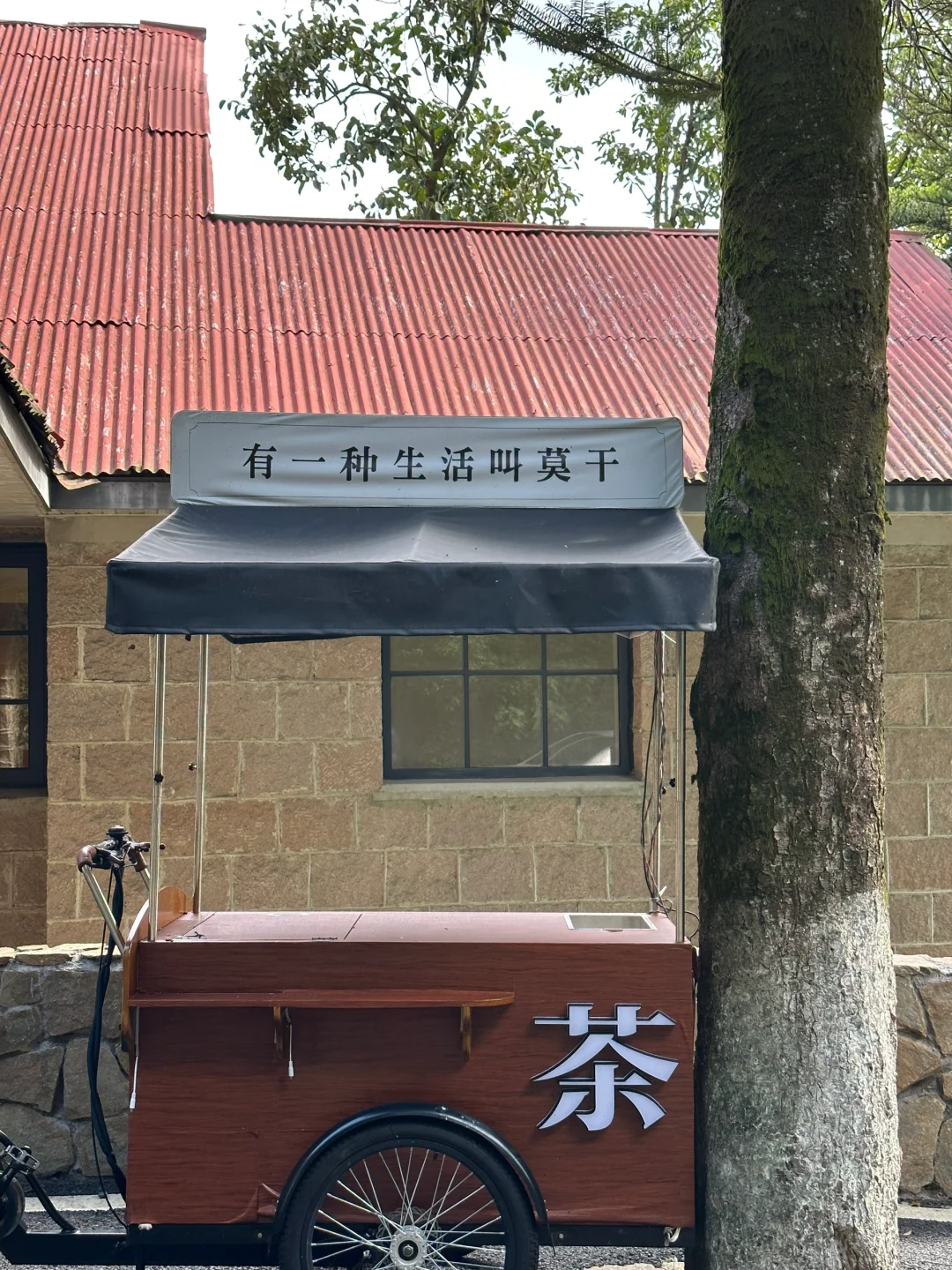 莫干山 舒服😌