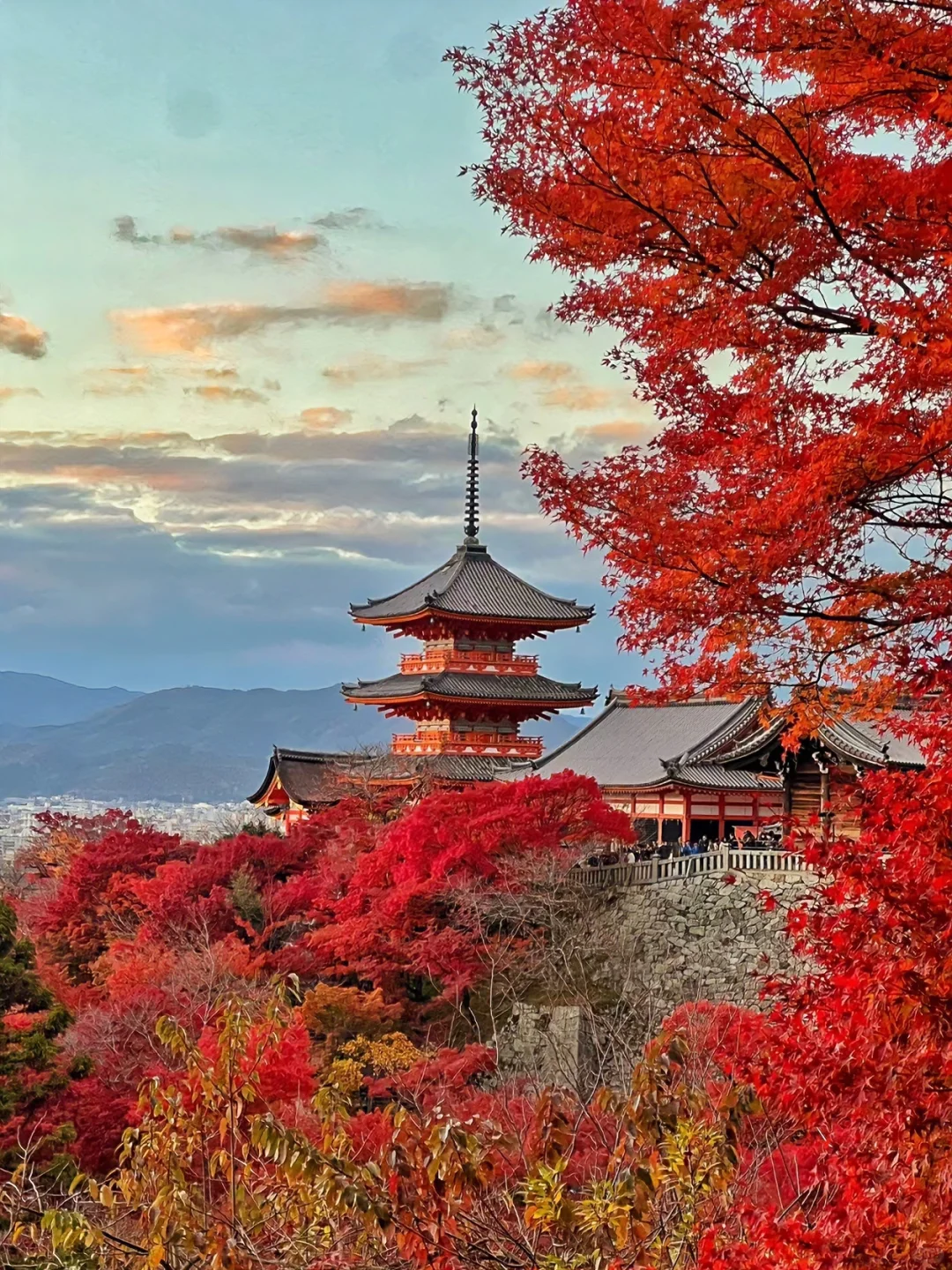 京都 | 赴一场千年之约，闯入古色的旧梦