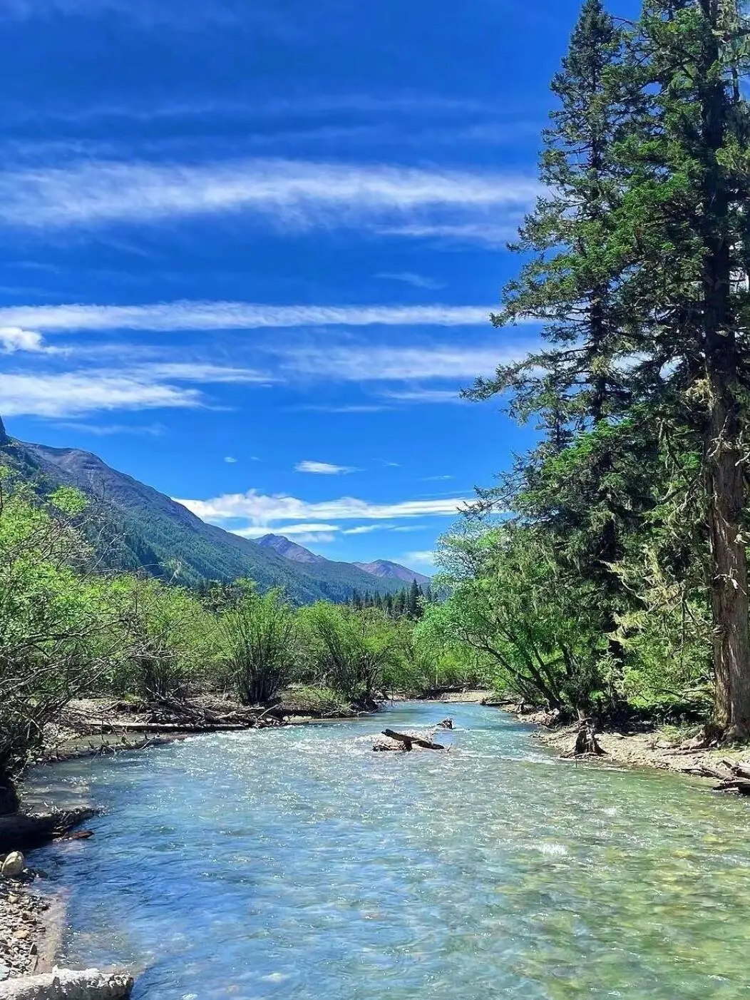 美哭我😭|||已经开始期待川西的春天来了