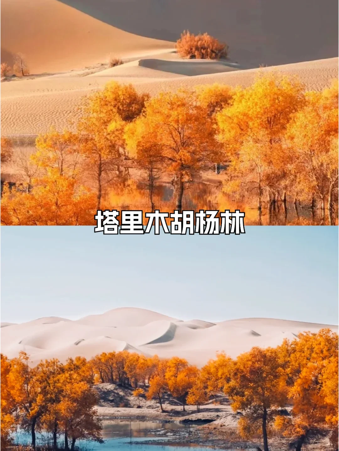 新疆旅游必去16个景点合集🔥超级好看🔥