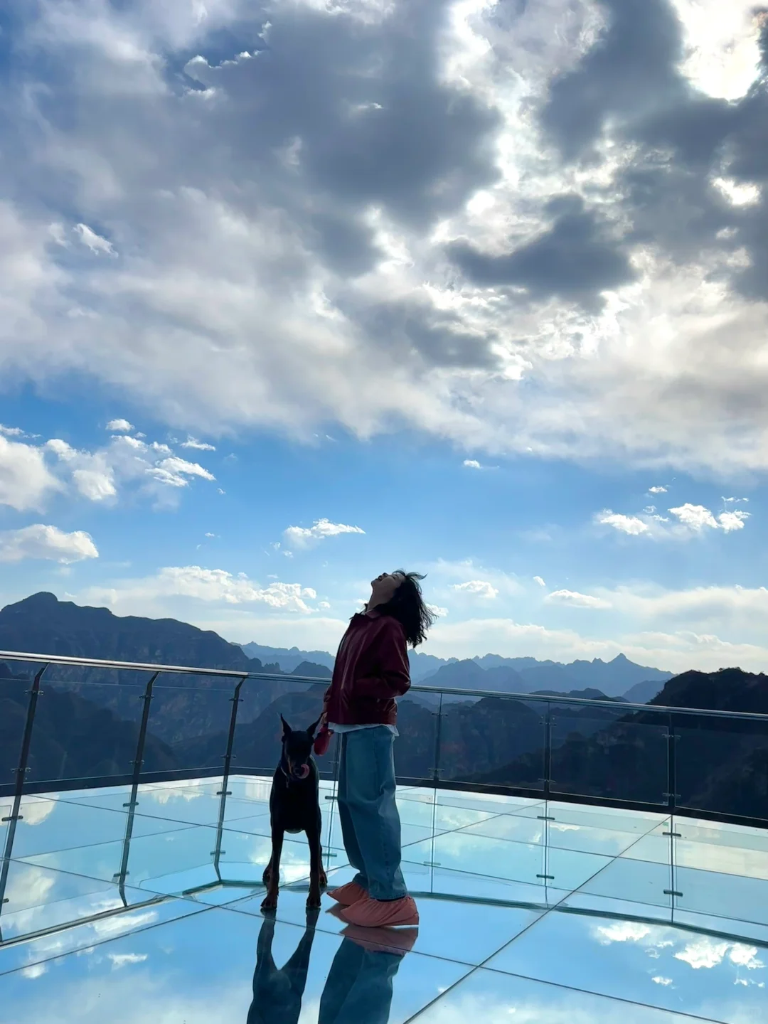 北京宠物友好4A景区上大分!!