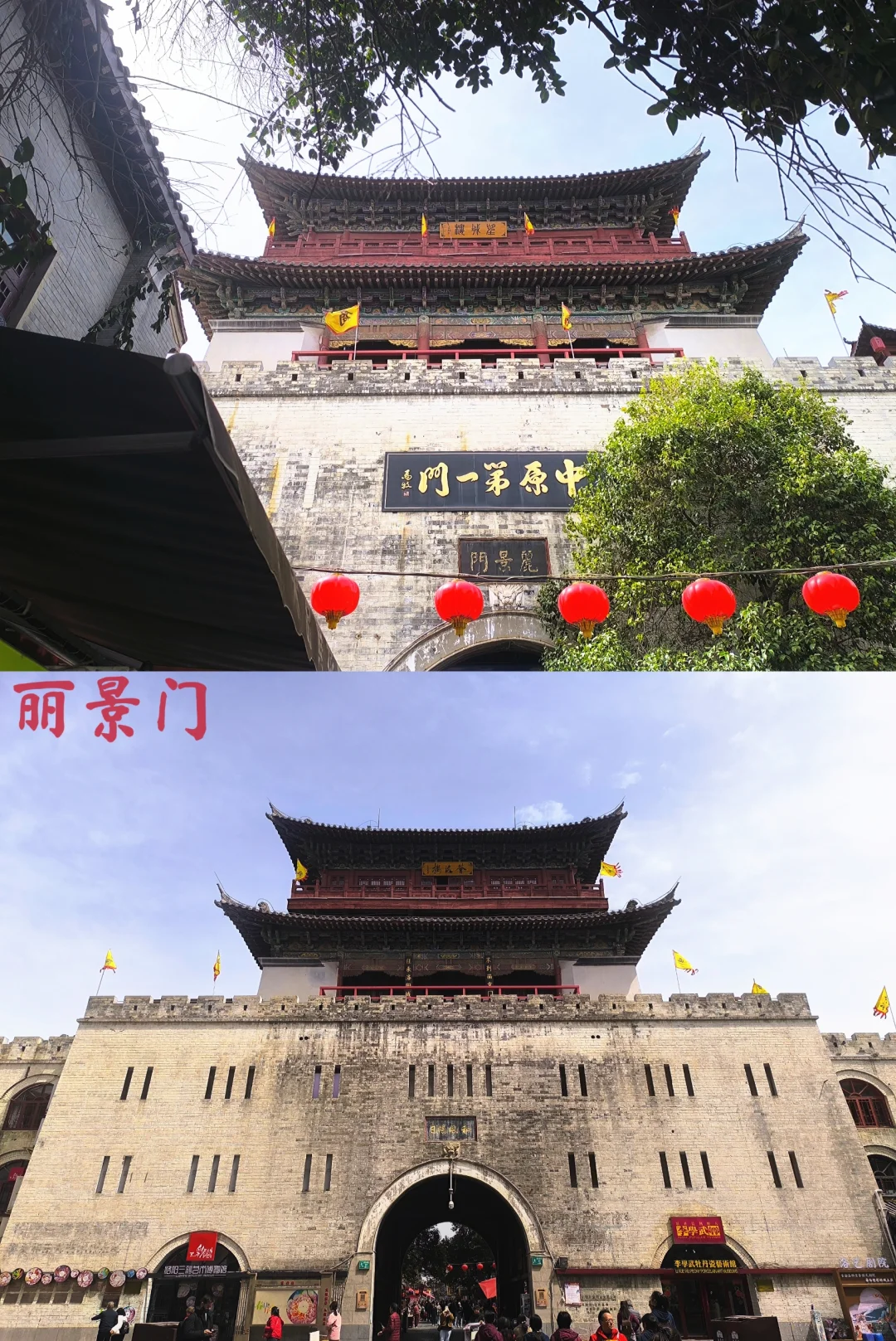 去了，不后悔！ 三天两夜洛阳旅游！