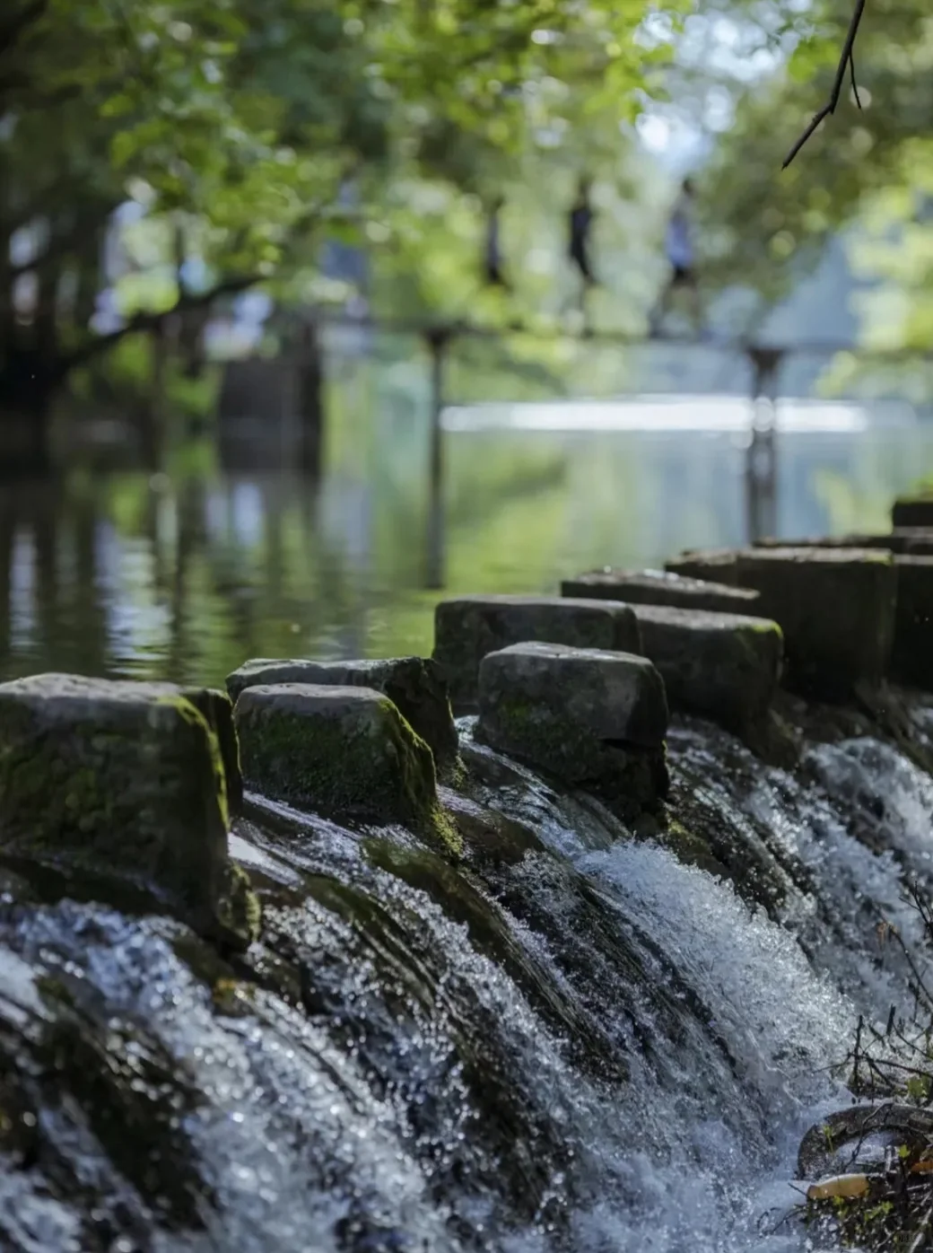 4月，到达黄山北站后，一定要去这个景点！