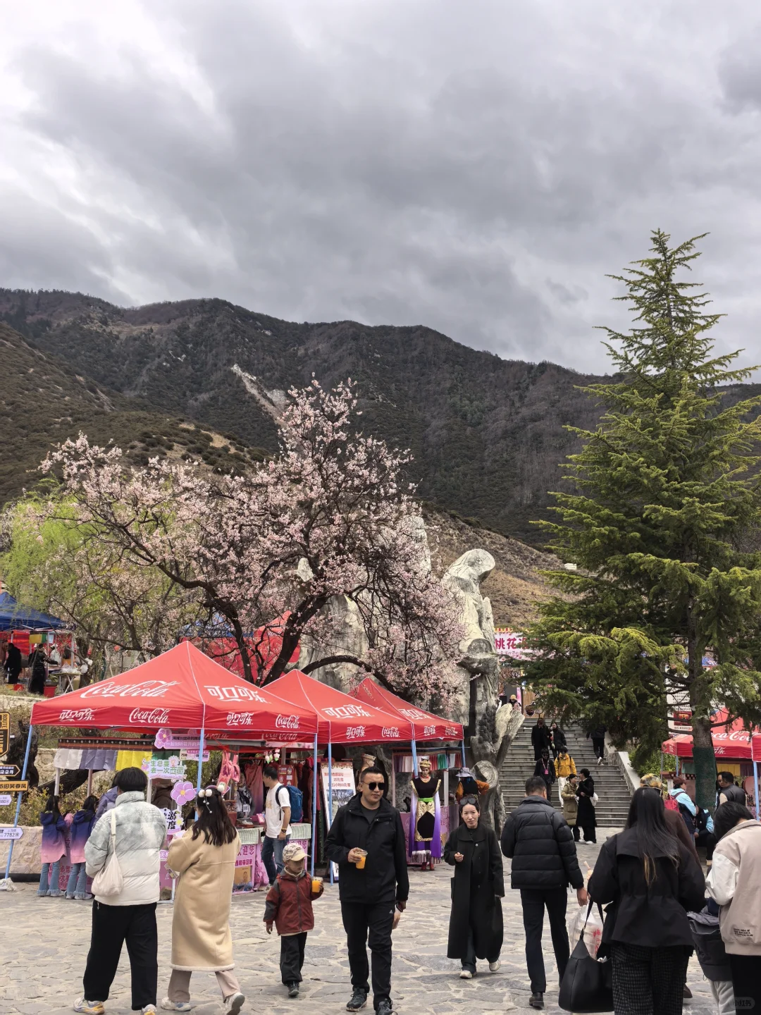 🍑林芝嘎拉桃花村 | 没进景区，却挖到宝