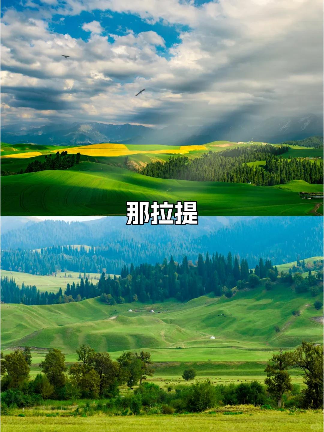 新疆旅游必去16个景点合集🔥超级好看🔥