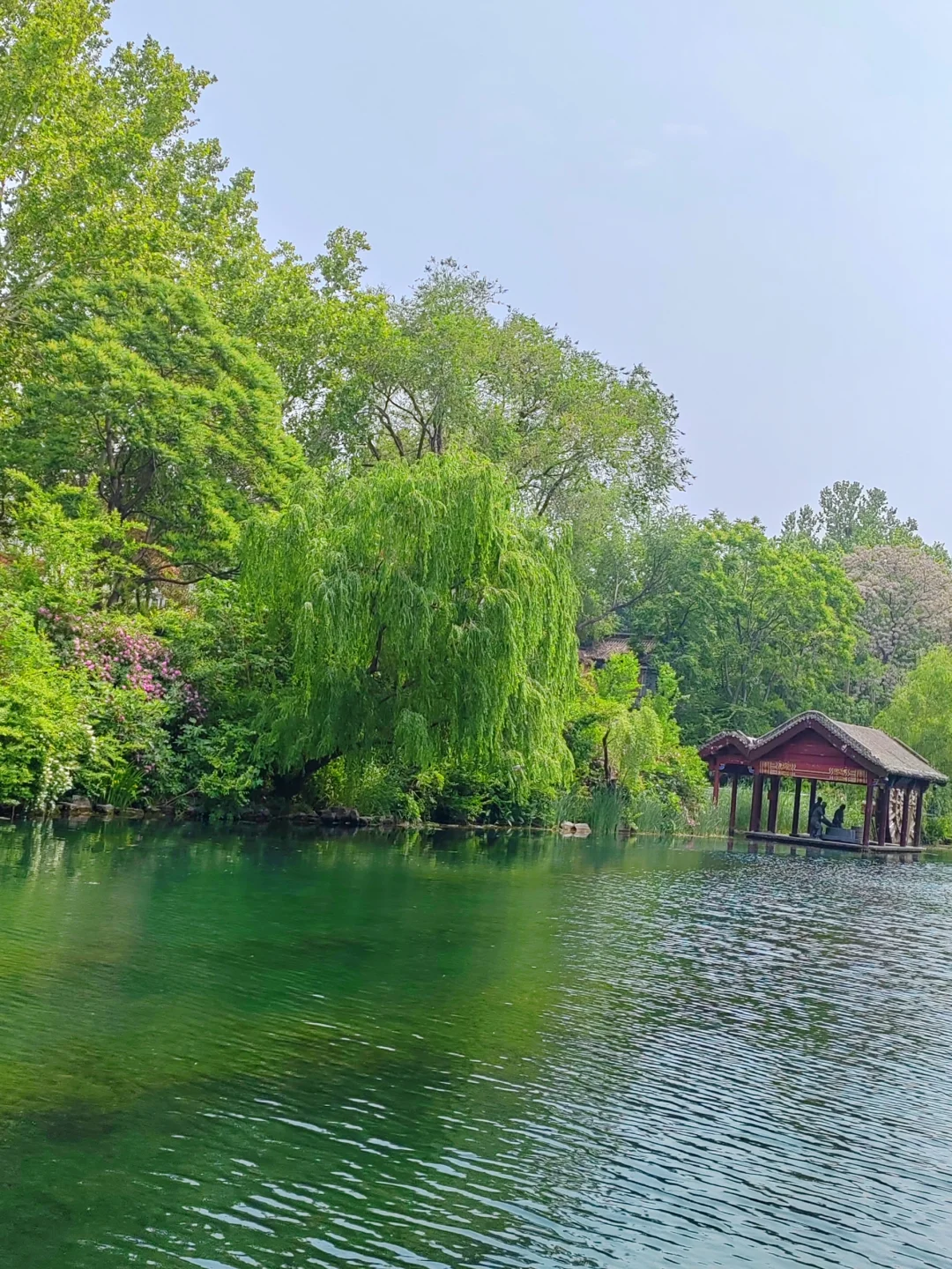 济南护城河水磨坊｜亲水栈道🌲绿意盎然