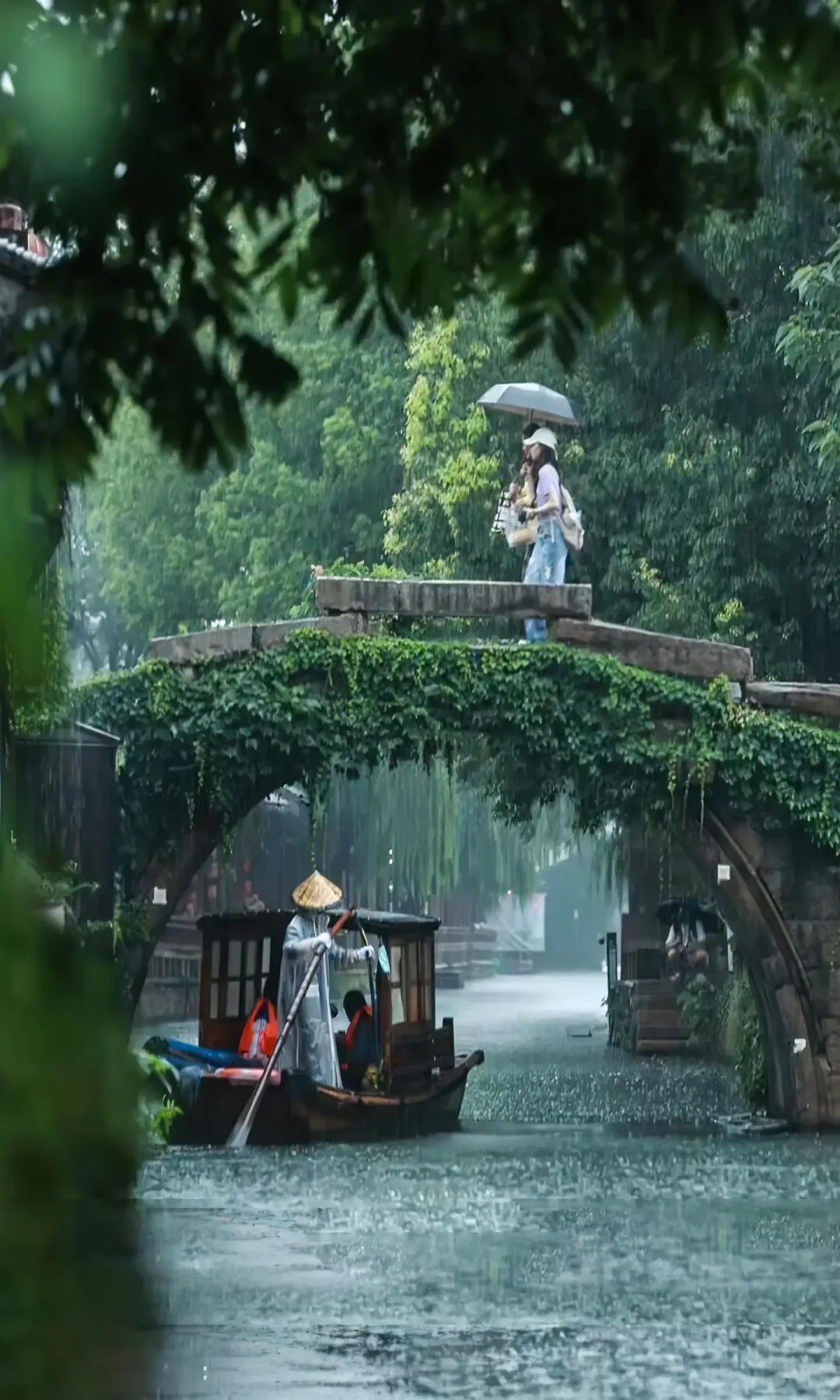 苏杭四天三晚🌸春日浪漫畅游秘籍