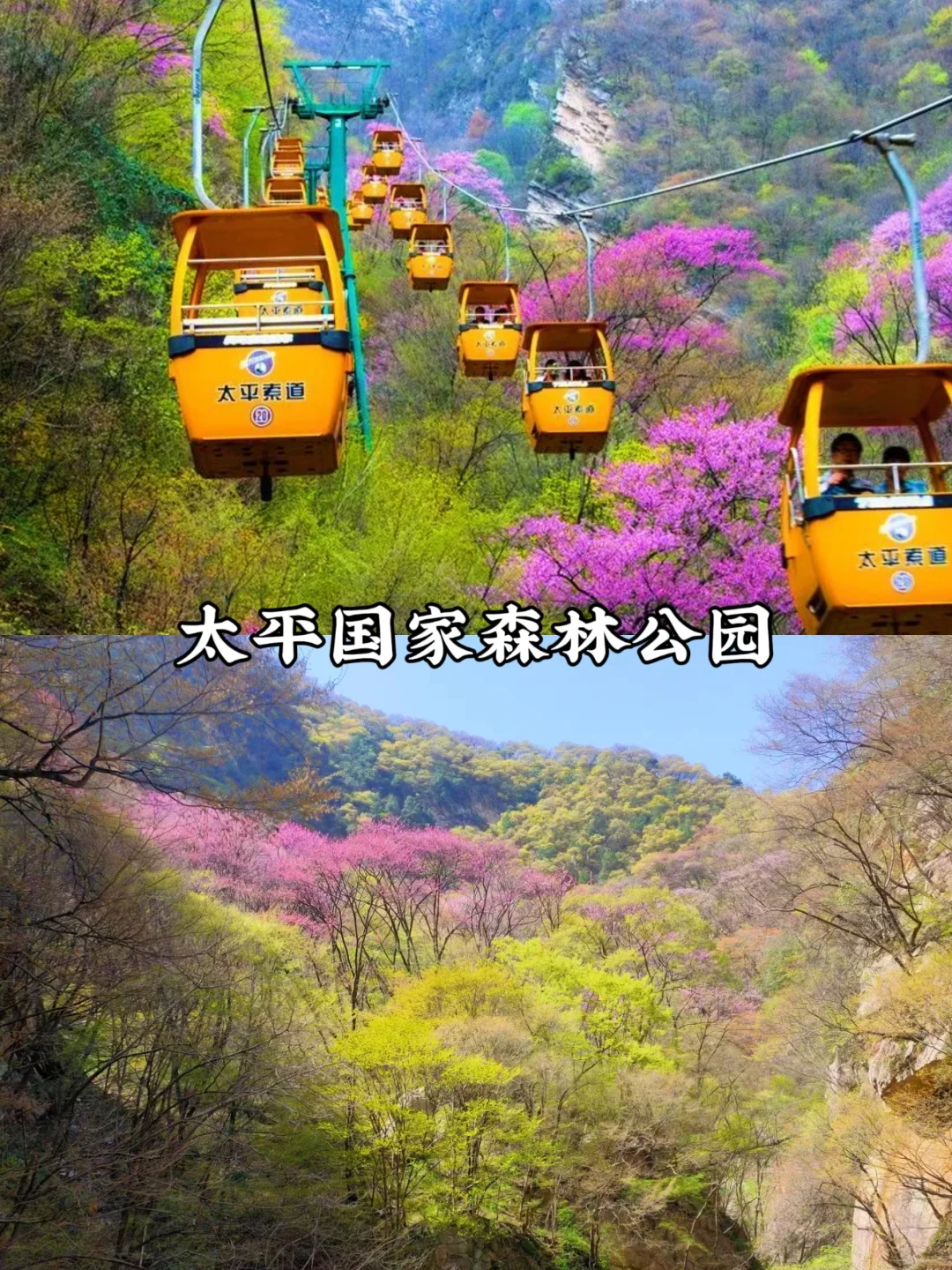 预告！清明周边游🔥西安出发1日游合集