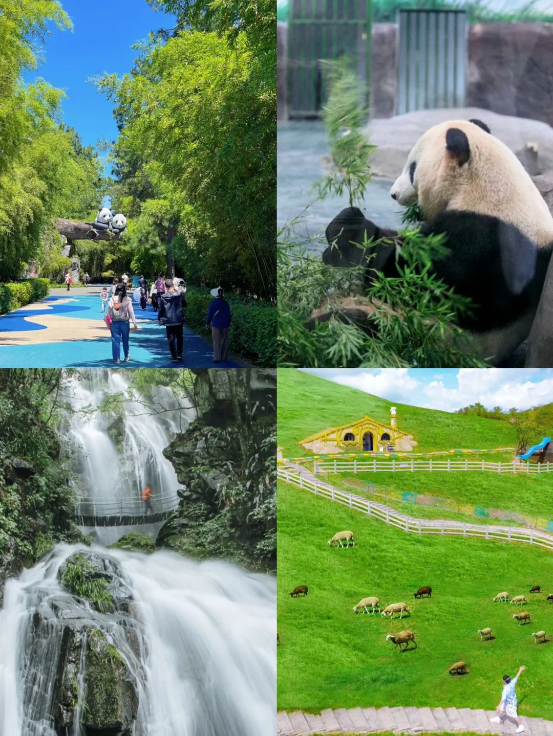 第一次来安吉旅游，千万要做这些攻略。