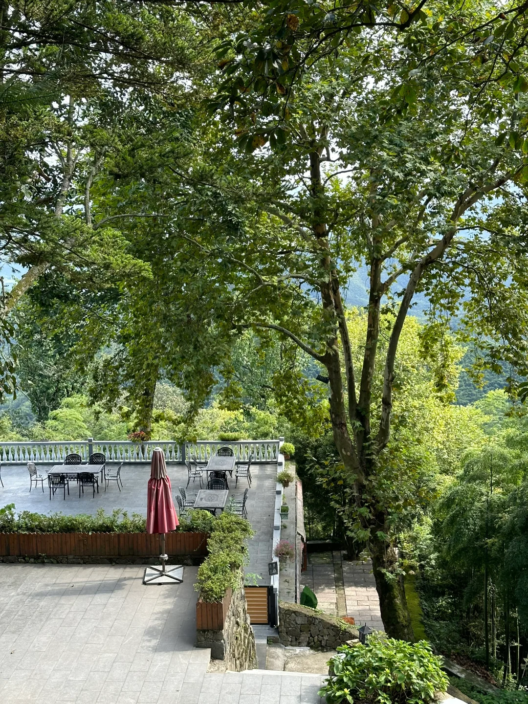 莫干山 舒服😌