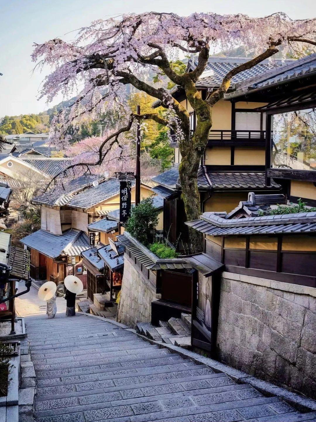 京都 | 赴一场千年之约，闯入古色的旧梦