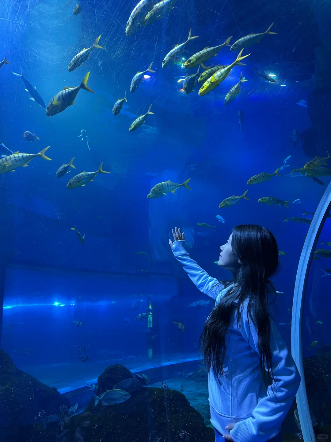 威海旅游攻略！！！