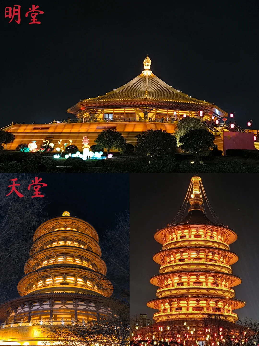 去了，不后悔！ 三天两夜洛阳旅游！