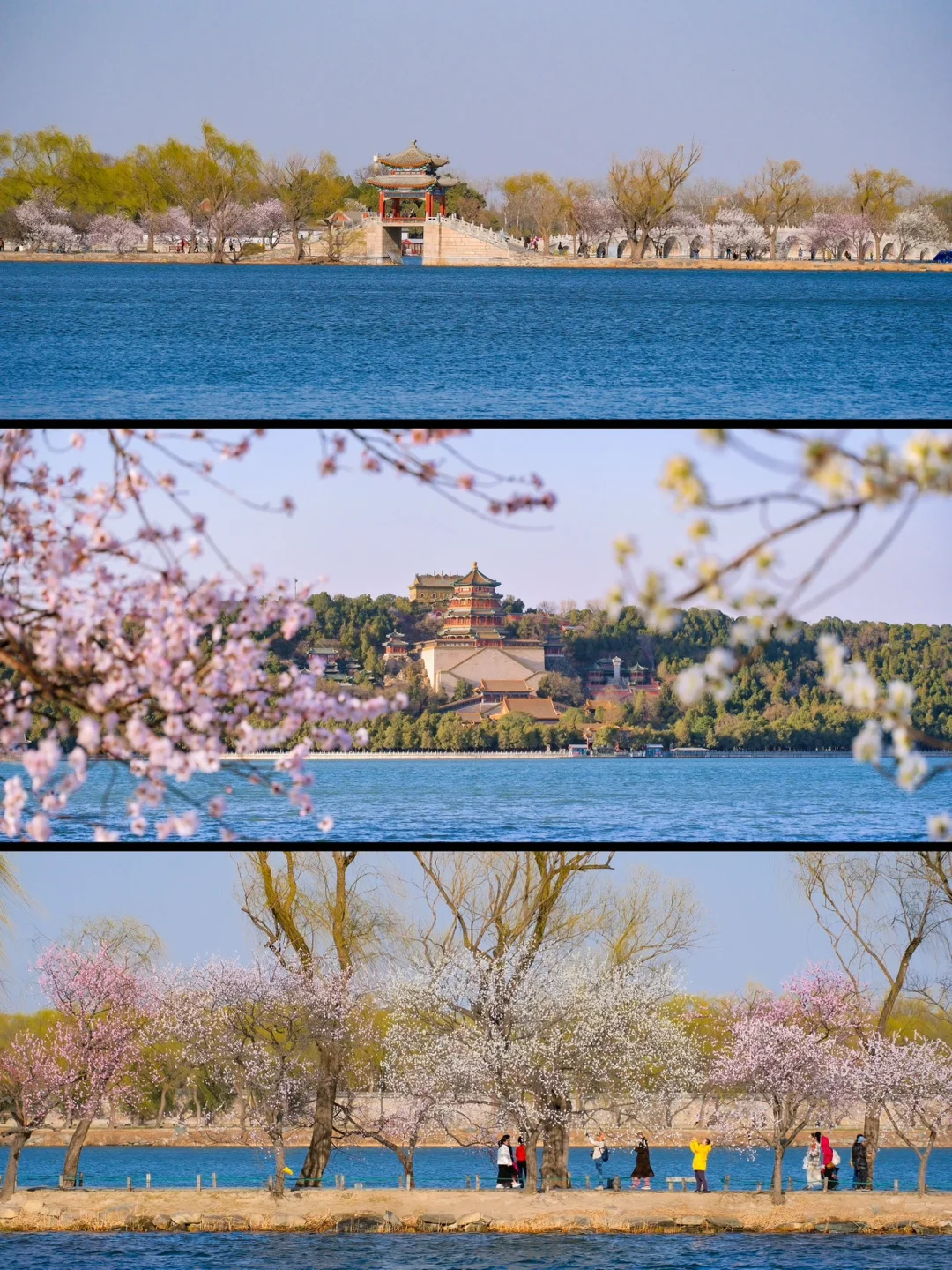 这一刻🌸春和景明具象化了🌷