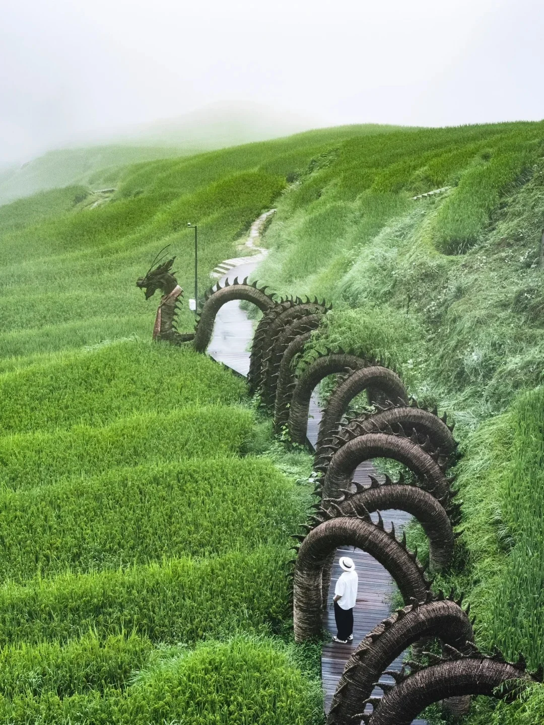 来丽水，这九个景点绝不容错过！🌟