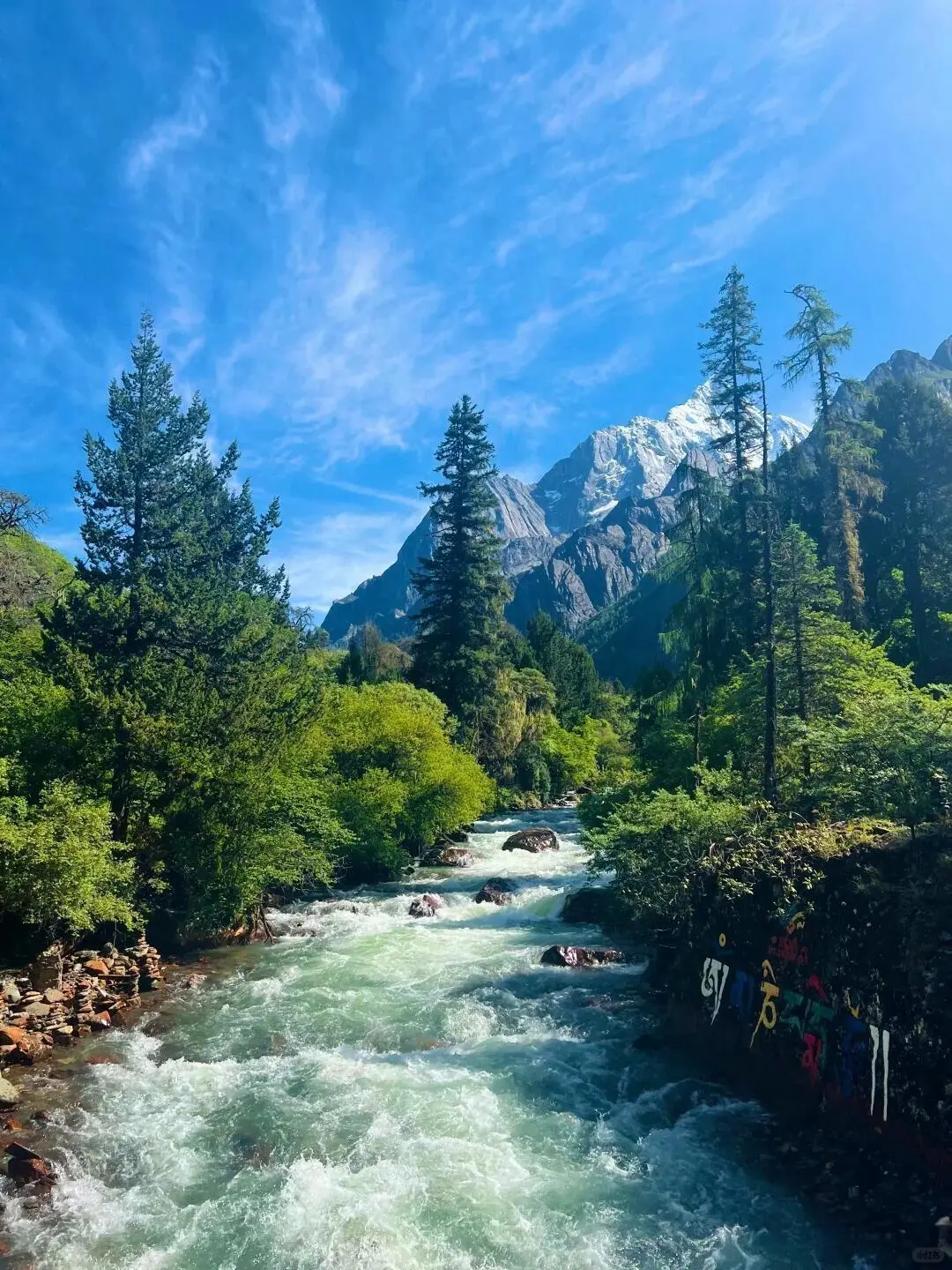 美哭我😭|||已经开始期待川西的春天来了