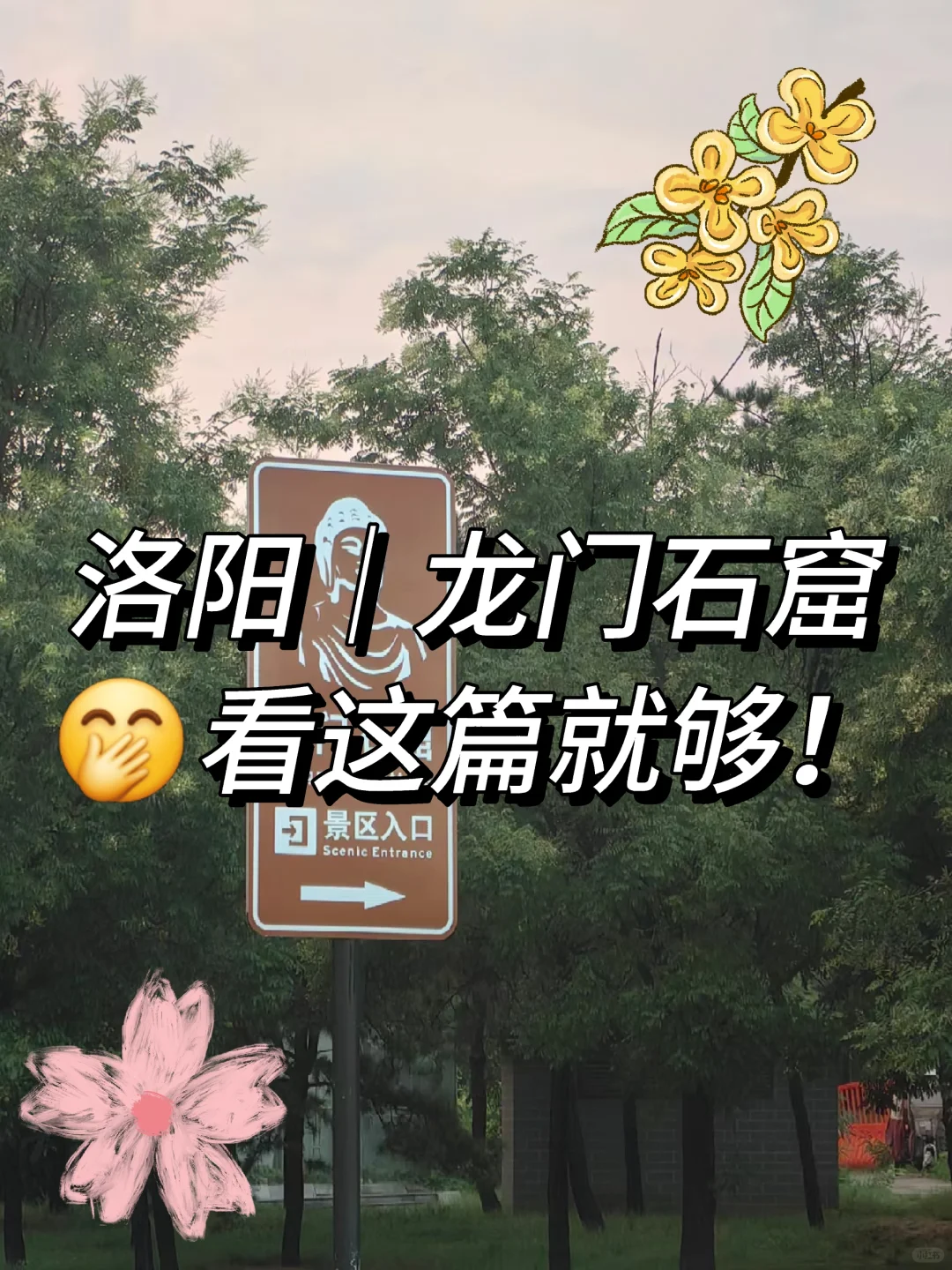 🔥洛阳·龙门石窟|穿越千年的震撼🐉