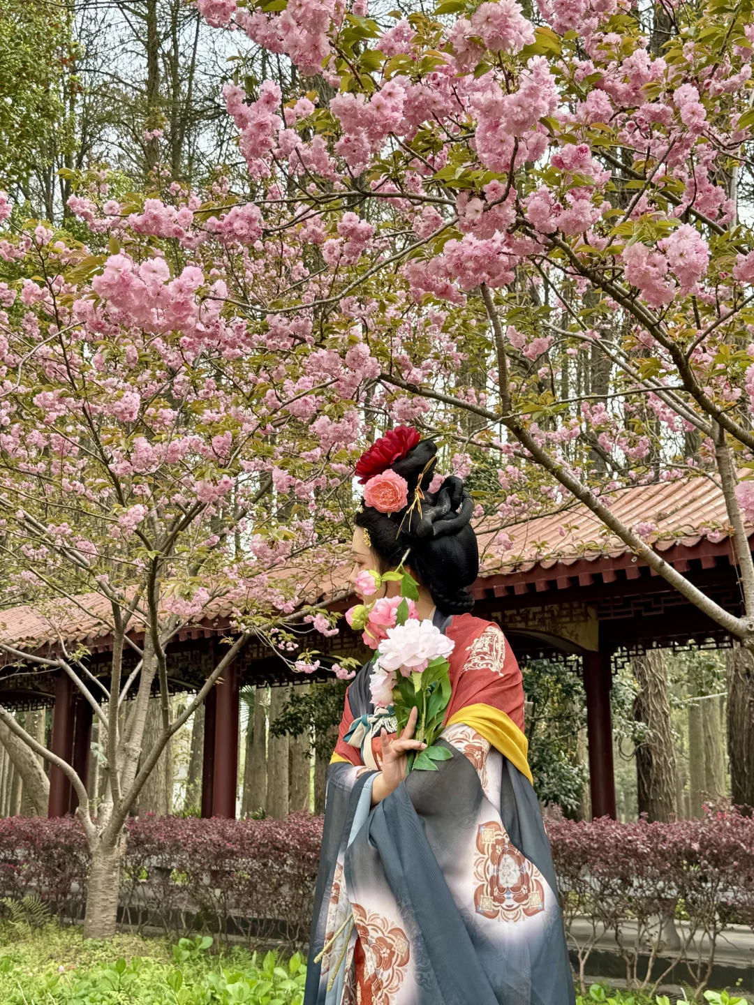 藏在东湖的小众景点，牡丹开爆了！