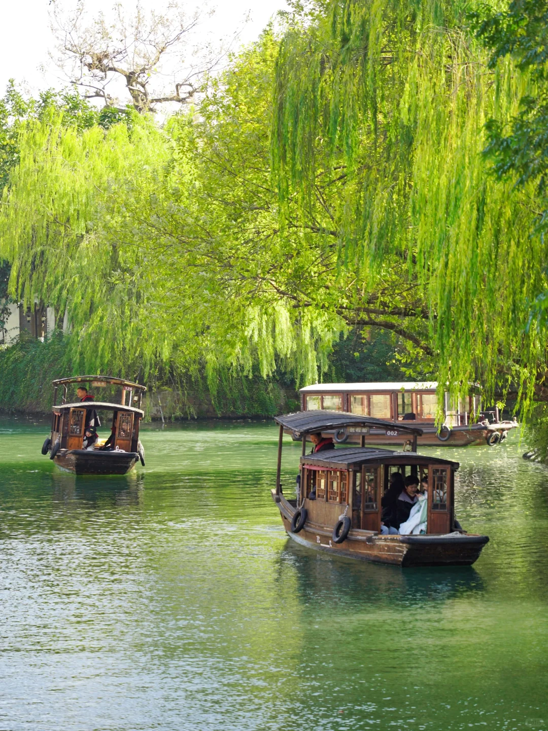 自从来了乌镇，我才明白古人笔下的真江南🍃