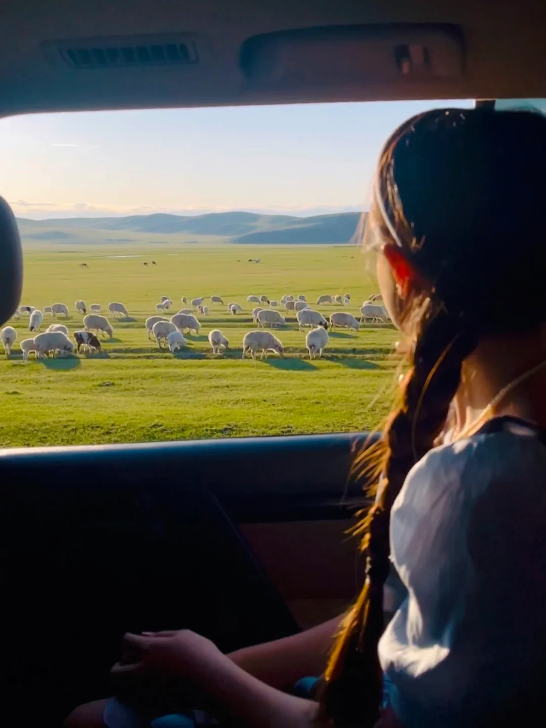 “我这一生,总有一个夏天要留给呼伦贝尔‼️”