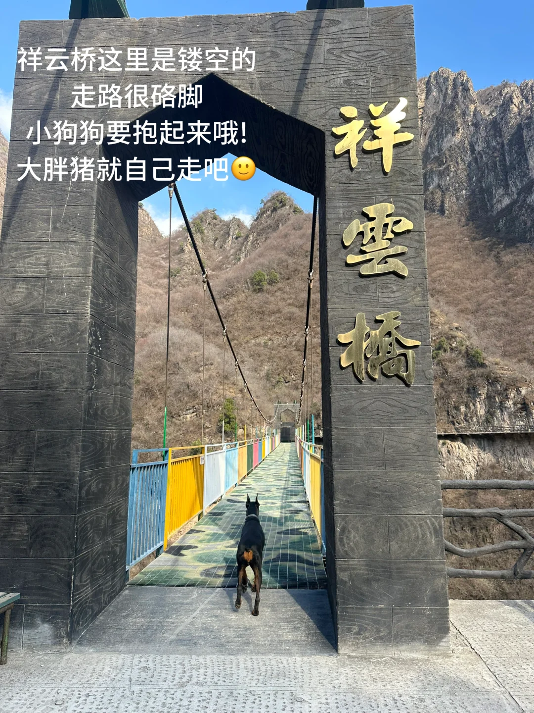 北京宠物友好4A景区上大分!!