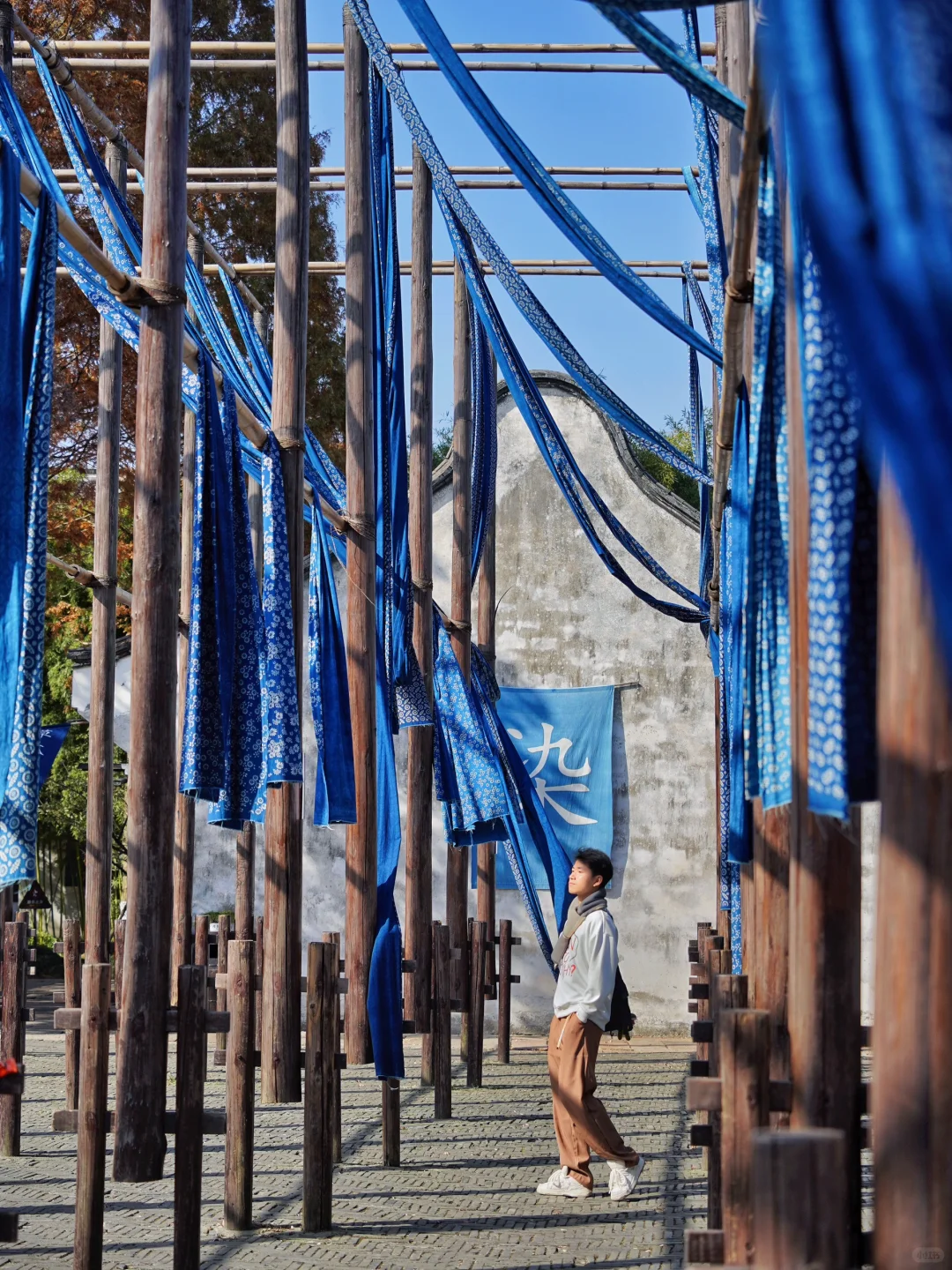 自从来了乌镇，我才明白古人笔下的真江南🍃