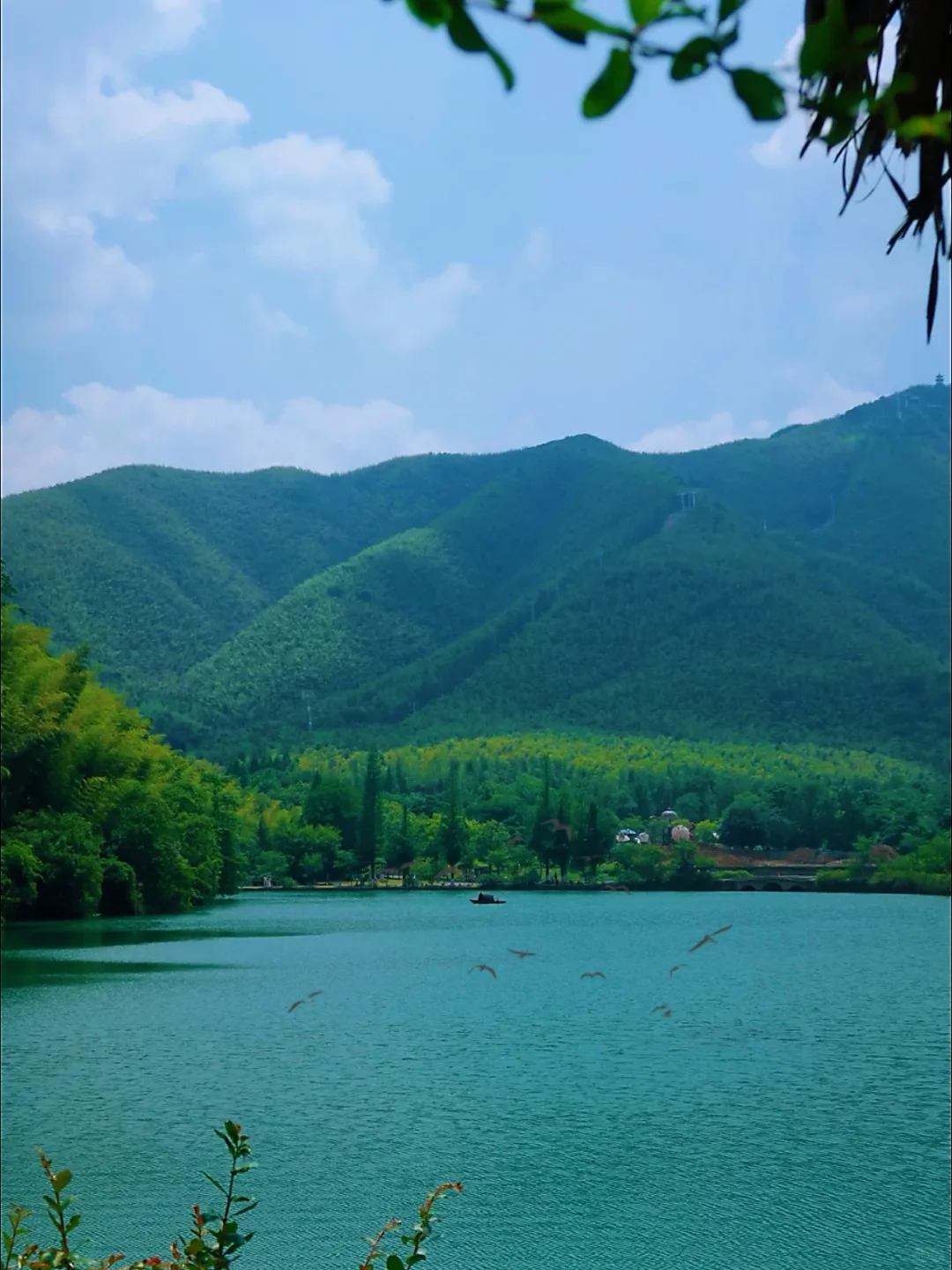 宜兴｜我宣布这座小城真是我反向旅游的NO.1