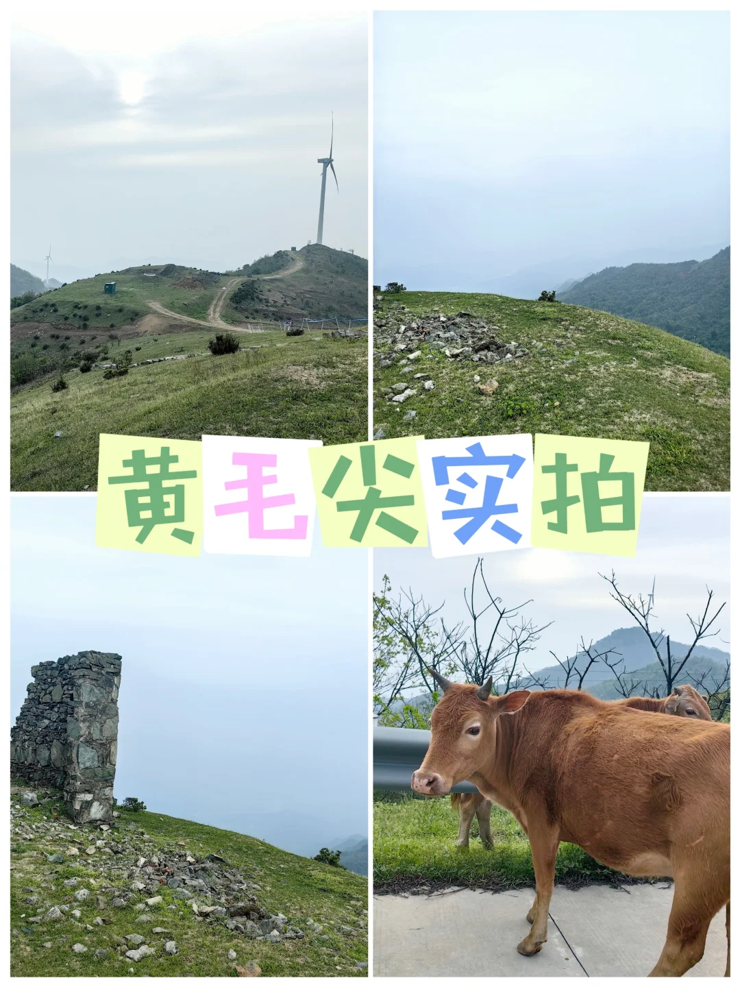豫南水乡一信阳新县（冷门旅游）