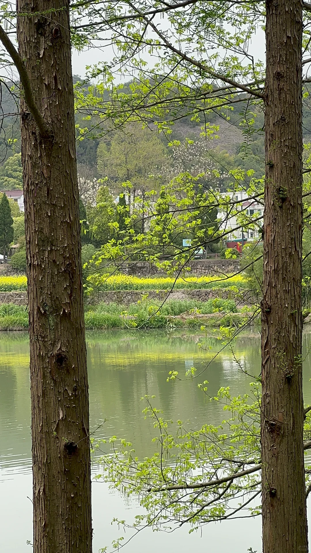 缙云仙都景区门票清明不免费