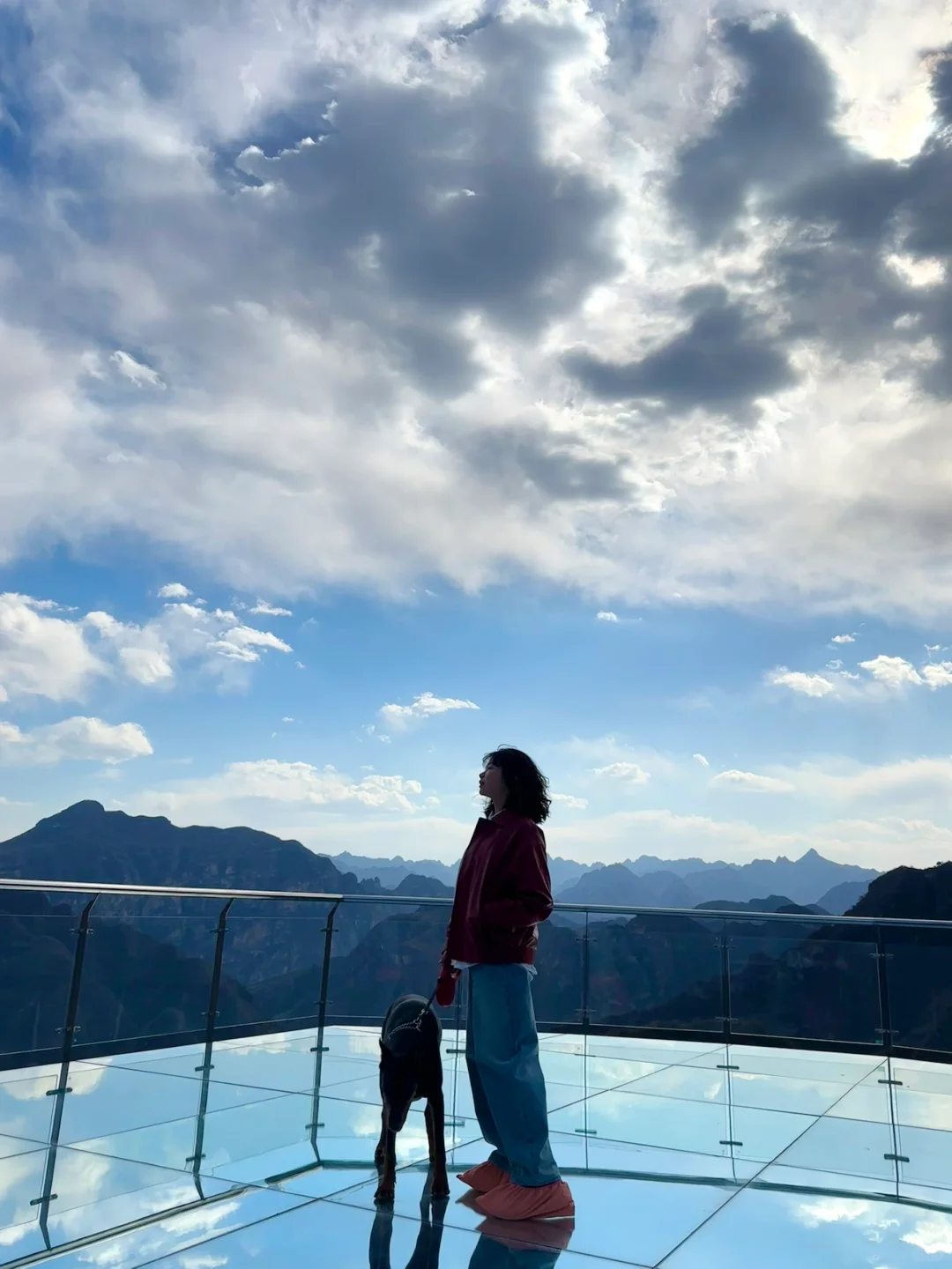 北京宠物友好4A景区上大分!!