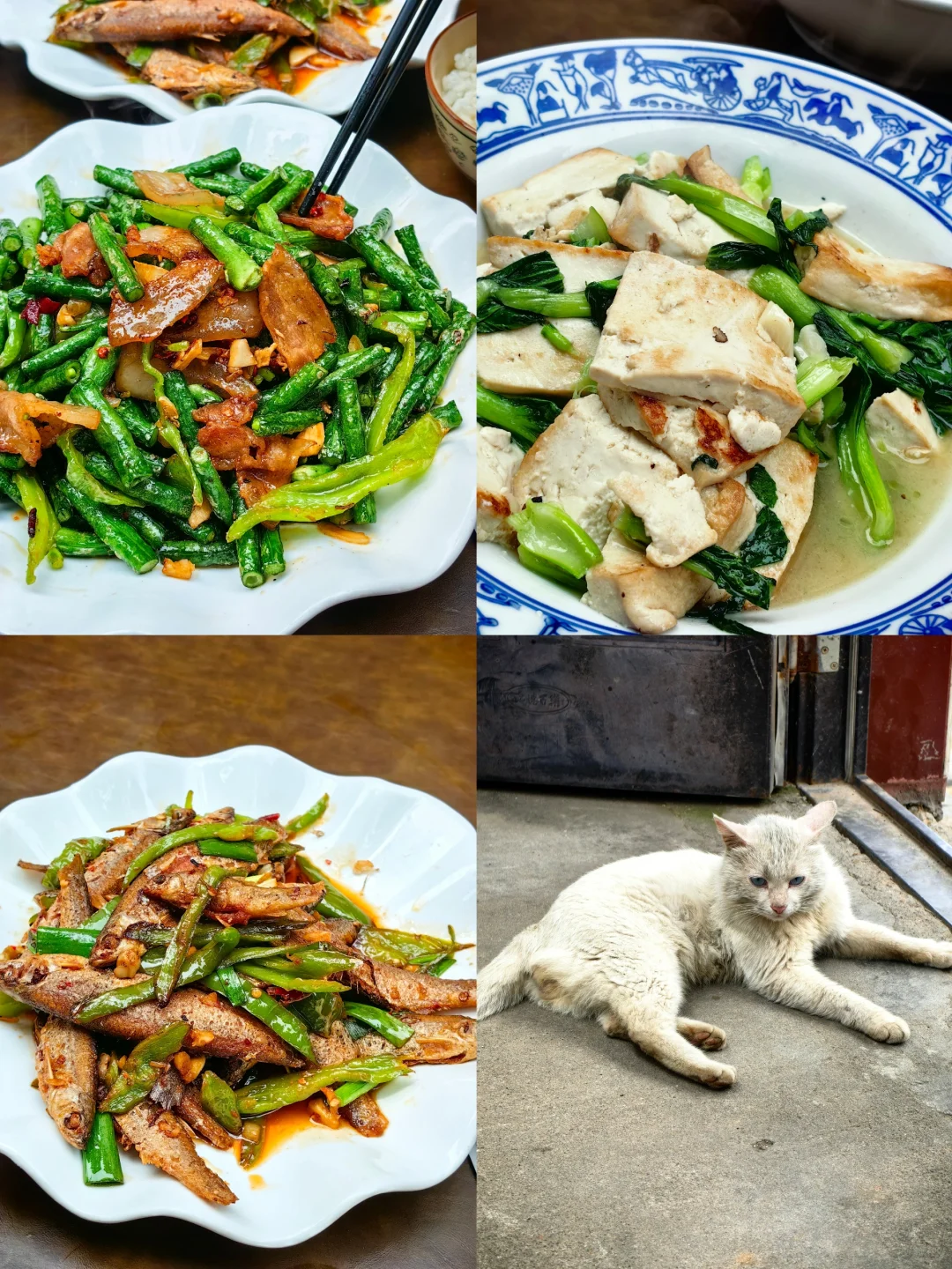 豫南水乡一信阳新县（冷门旅游）