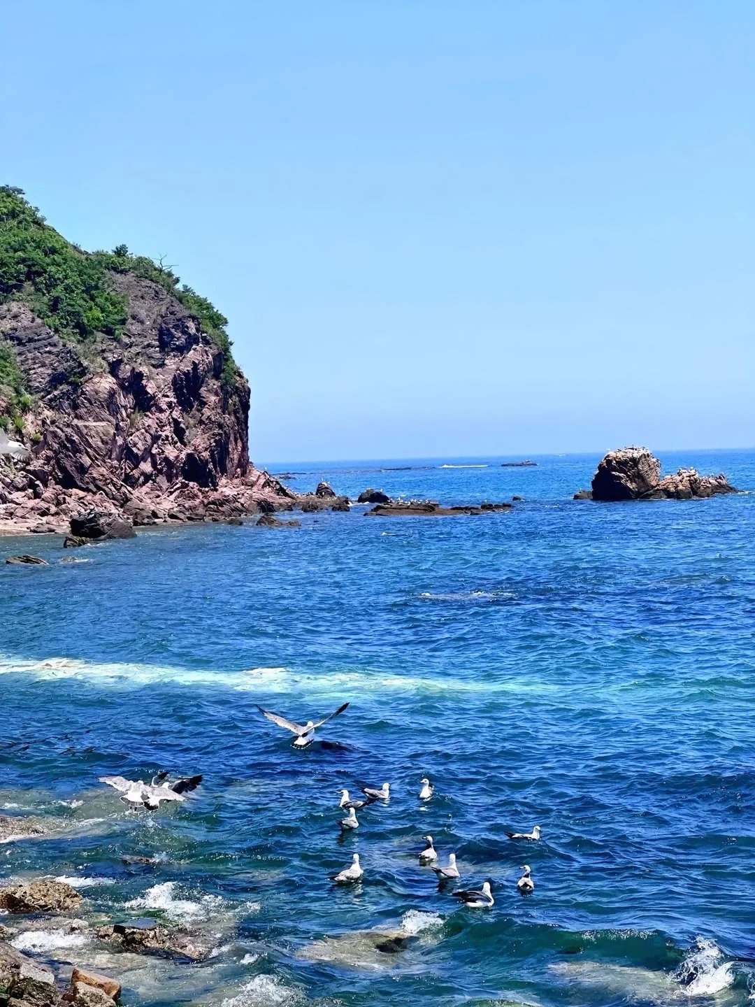 威海旅游 | 吐血整理！避坑+打卡全攻略🚩