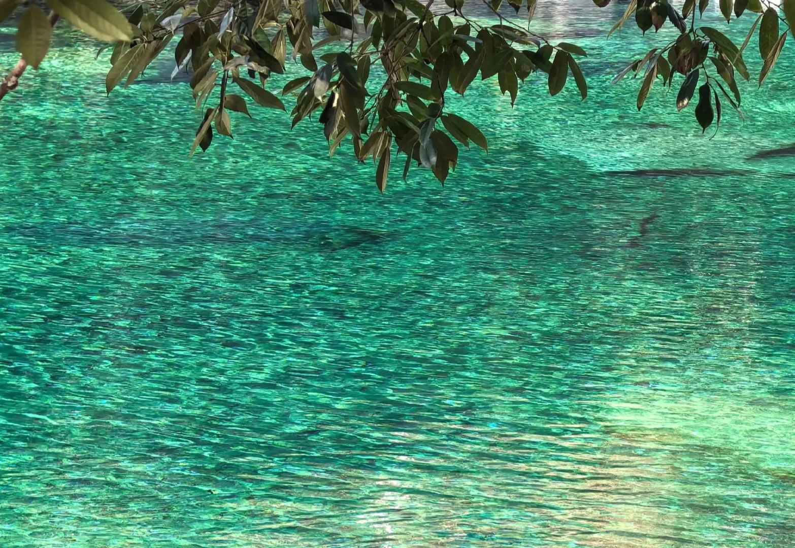 【池州石台牯牛降旅游攻略 |