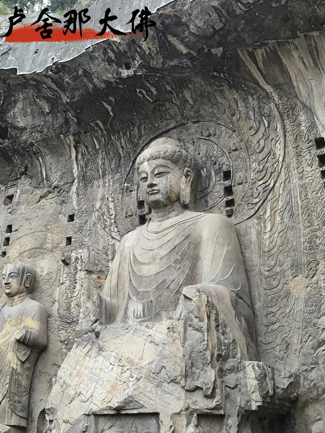 去了，不后悔！ 三天两夜洛阳旅游！