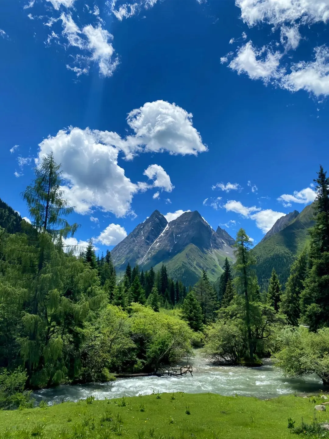 美哭我😭|||已经开始期待川西的春天来了