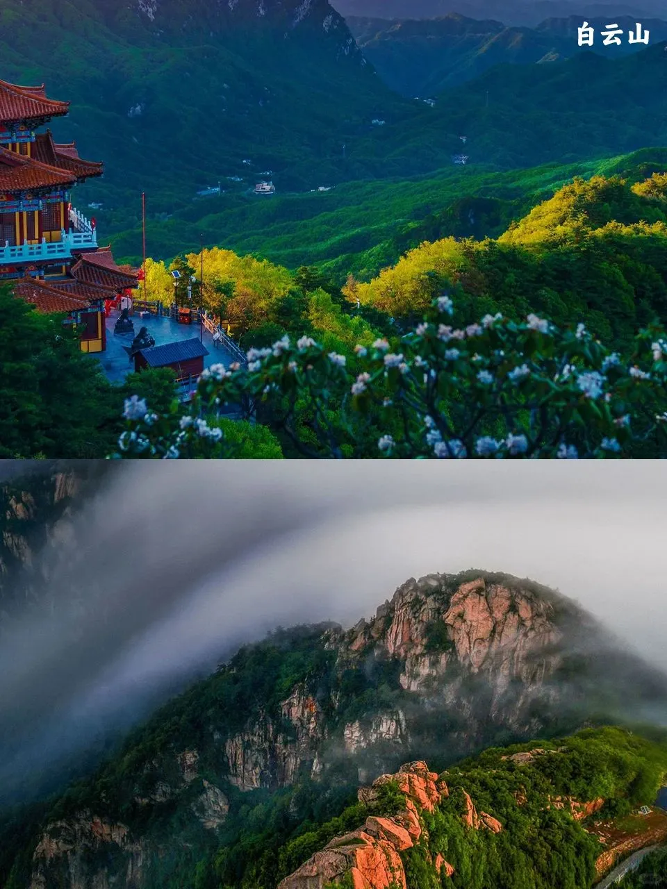 风起洛阳、梦入神都，一寻繁华盛唐。