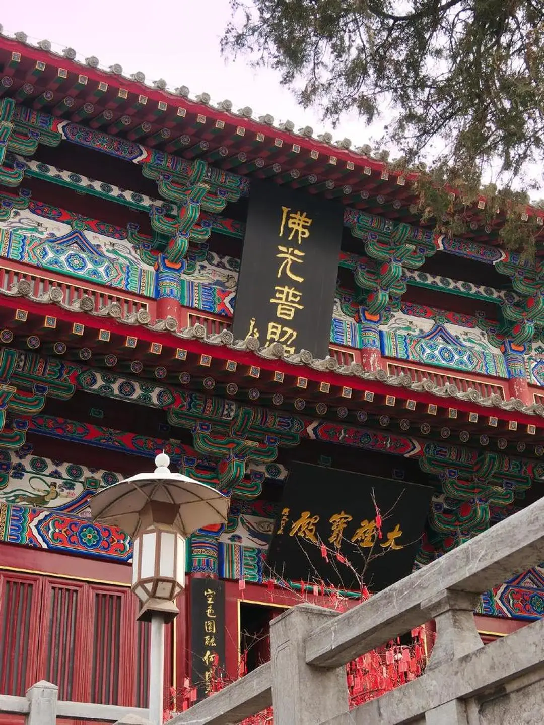 🔥洛阳·龙门石窟|穿越千年的震撼🐉