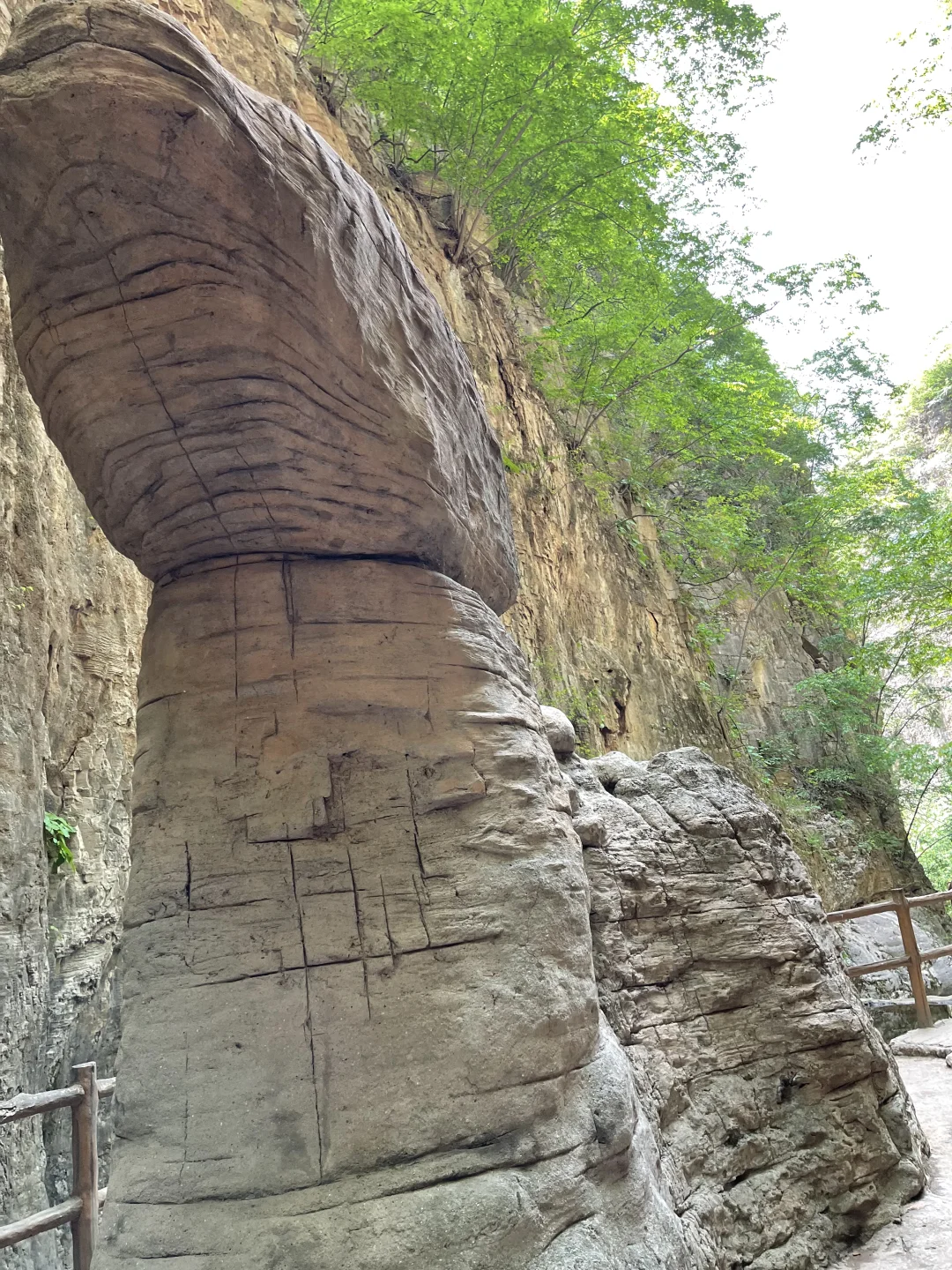 不想爬高山🔥石家庄清风峡适合带娃爬不❗️