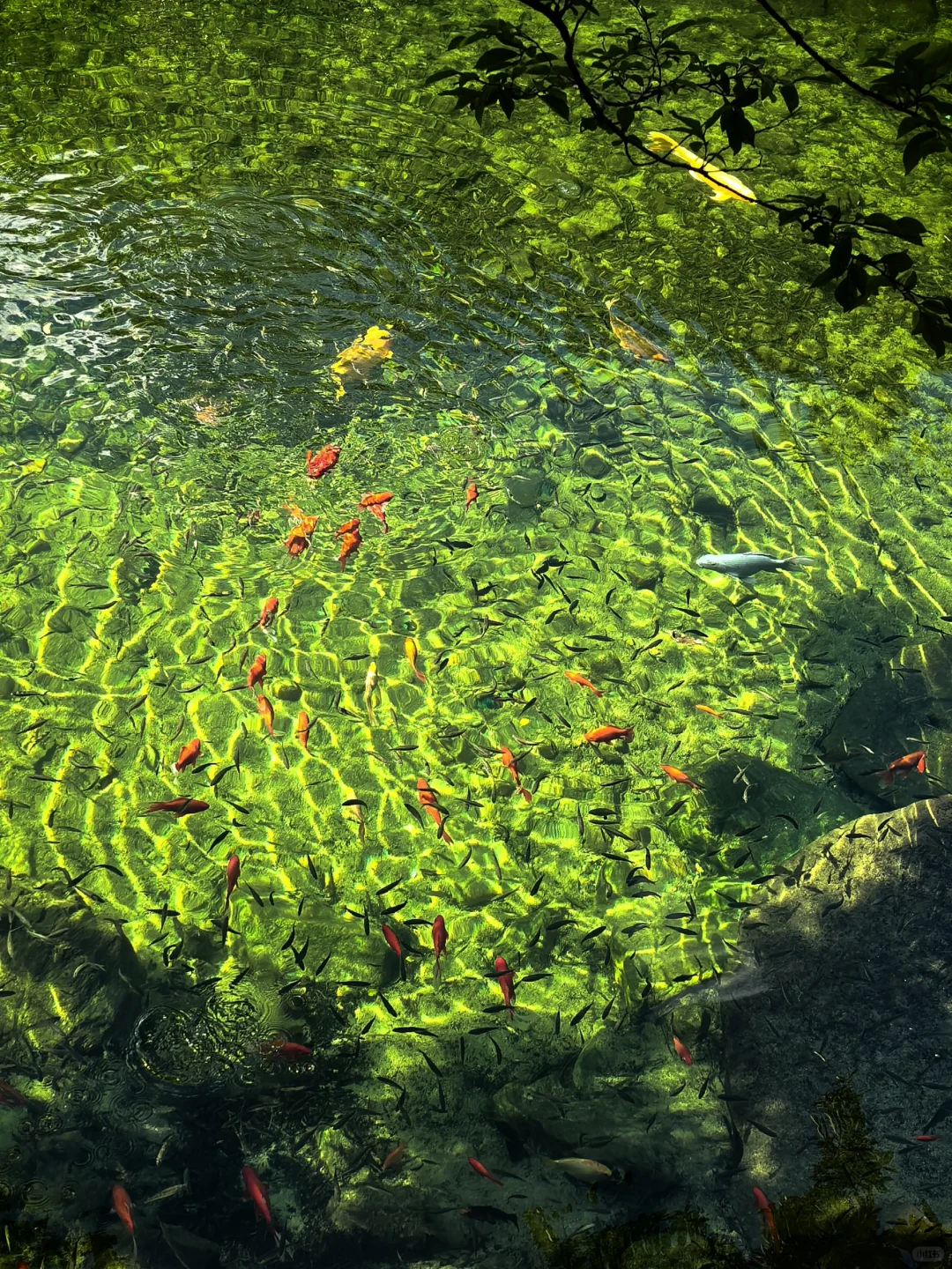 威海旅行别错过这个冷门宝藏！！